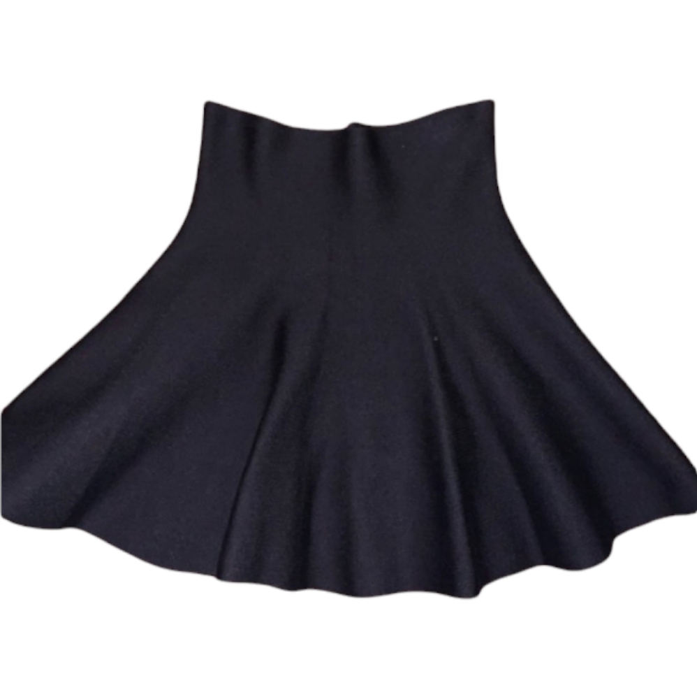 NWOT black skirt